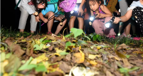 【天目山】大地之野，一所只教孩子自然的学校，却是国外最流行的自然教育！7岁起报！