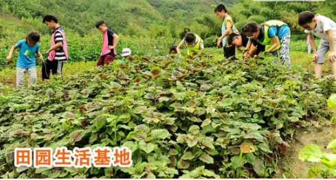 【天目山】大地之野，一所只教孩子自然的学校，却是国外最流行的自然教育！7岁起报！