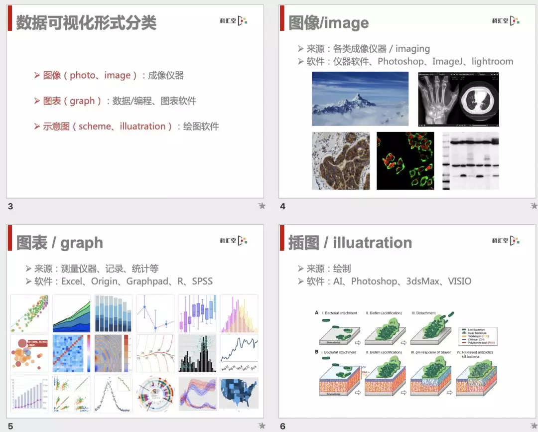2019《科研图像处理与作图排版》11月北京班