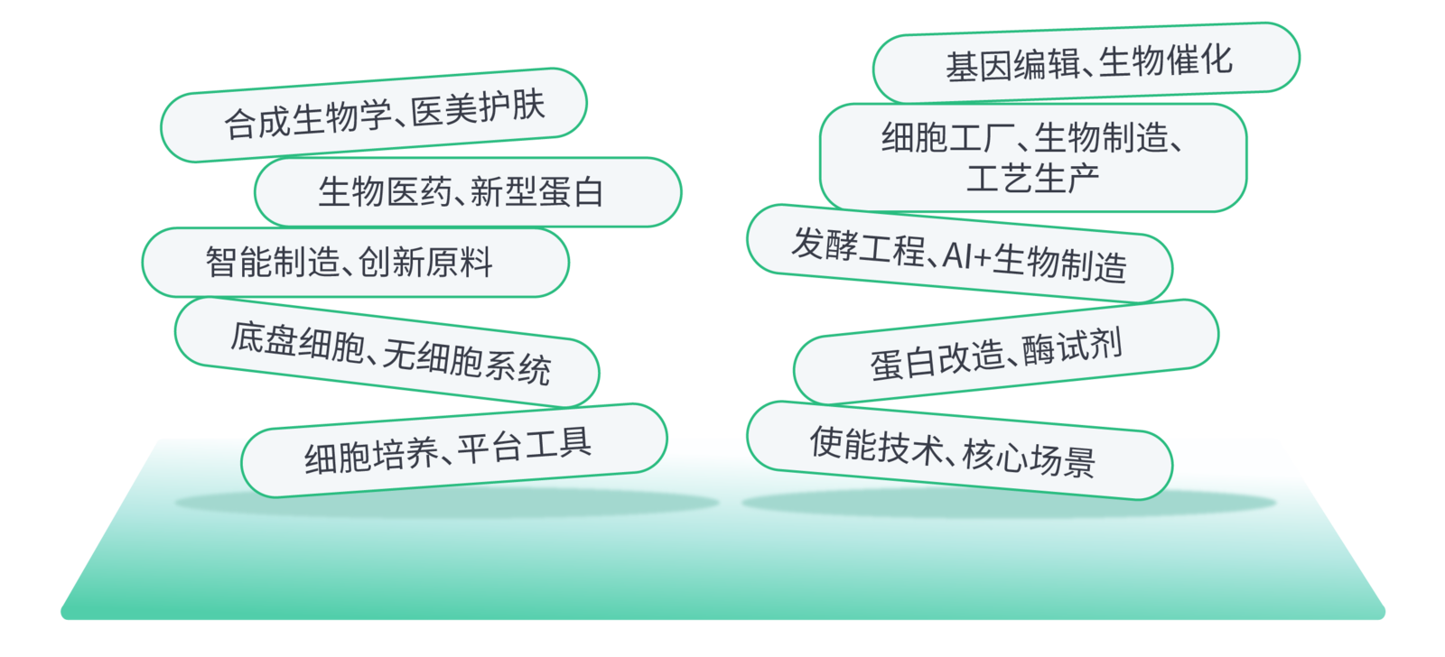 2025 BioONE第七届生物制造产业年度峰会