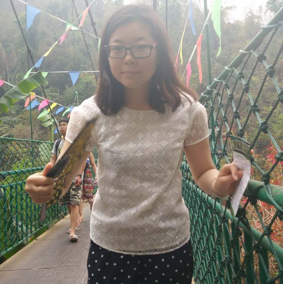 陈莹莹简历