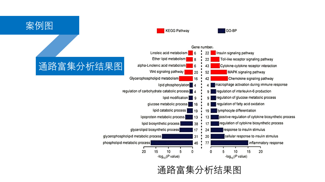 第12期测序与芯片高通量数据挖掘与分析学习班2019（3月北京）