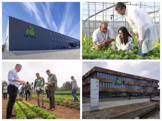 2019探访世界农业之最：世界农业第一高校、荷兰最大果业合作社、全球前三的气调贮藏设备企业