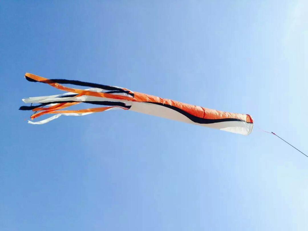 遥看澄阳湖—苏州滑翔伞体验