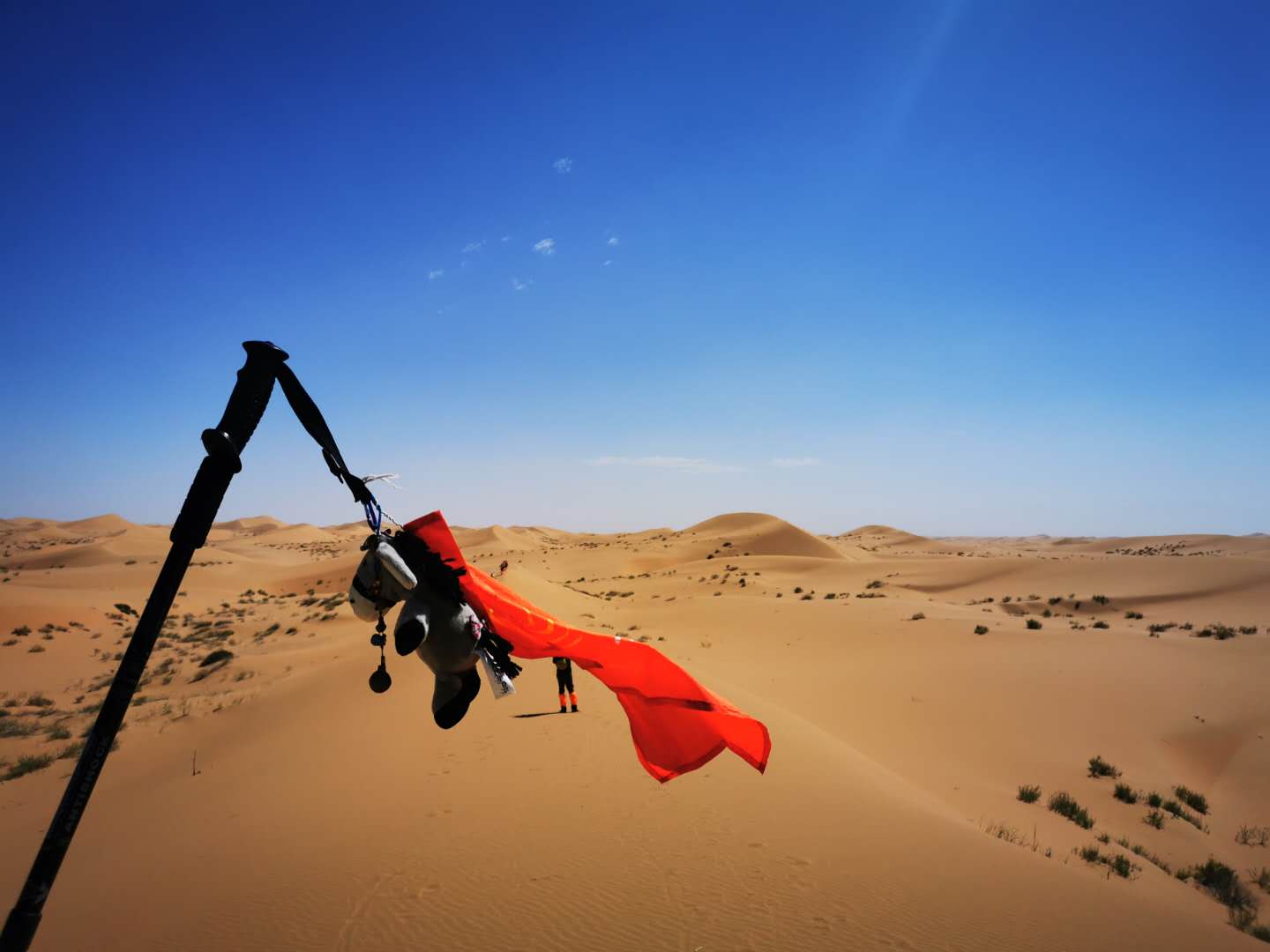 【国庆 腾格里】大漠星途下亲子研学之旅——沙漠徒步、夜观星空、探索大自然