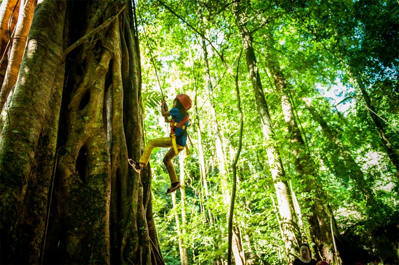 【西双版纳】热带雨林专业亲子团！7天6晚探索、树降、溯溪、寻宝！4岁起报！（9.30-10.6）
