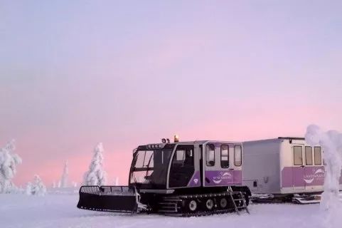 2020冬令营-芬兰：我的第一次北极圈探险
