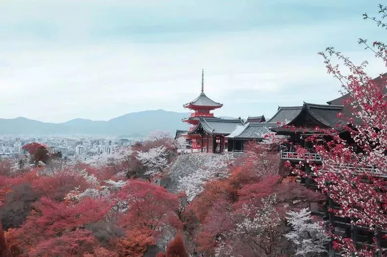 2020冬令营-匠之国奇遇记，走进日本，遇见关西