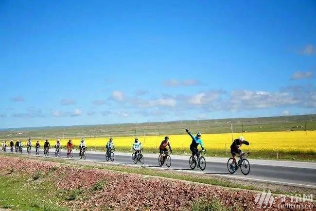 【环青海湖骑行】4天360公里,用车轮领略青海湖的高原美景