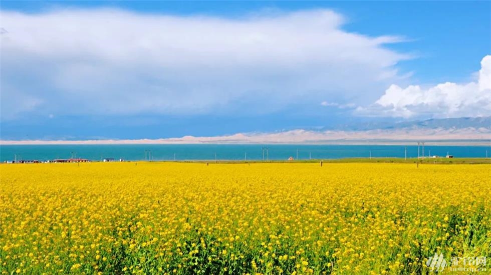 【环青海湖骑行】4天360公里,用车轮领略青海湖的高原美景