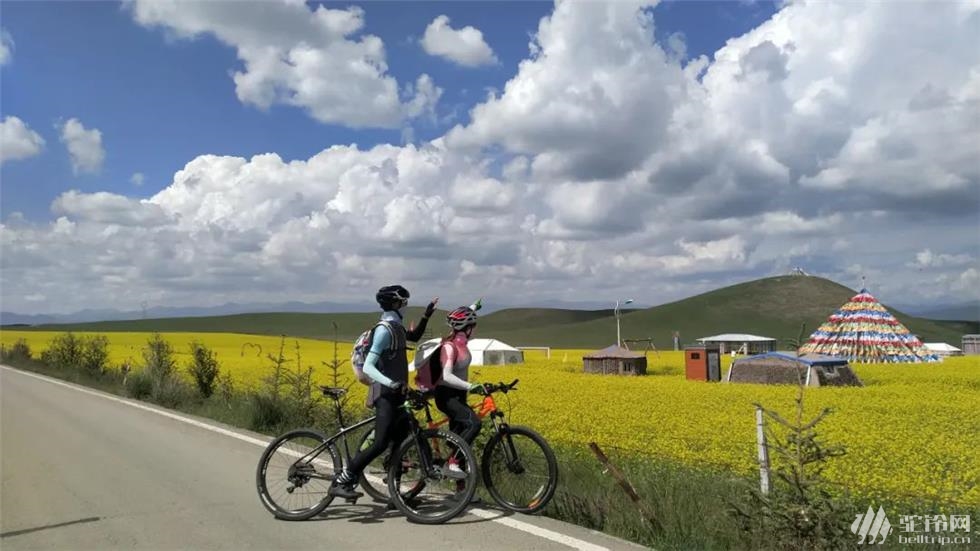 【环青海湖骑行】4天360公里,用车轮领略青海湖的高原美景