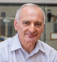 Prof. Mário F. S. Ferreira 第十七届光学与光电子国际学术会议(SOPO 2026)