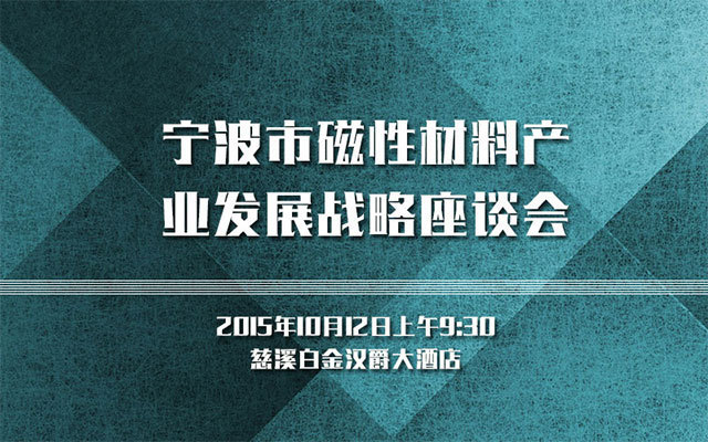 宁波市磁性材料产业发展战略座谈会