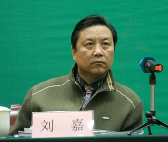 中国资源综合利用协会木塑复合材料专委会秘书长刘嘉照片