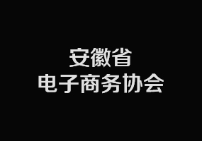 2016安徽中小企业转型互联网领袖峰会