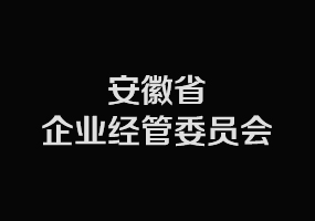 2016安徽中小企业转型互联网领袖峰会