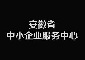 2016安徽中小企业转型互联网领袖峰会