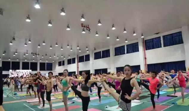 2016中国（成都）-印度 第二届国际瑜伽节