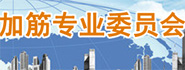 中国土工合成材料工程协会加筋专业委员会 