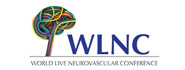 WLNC组委会