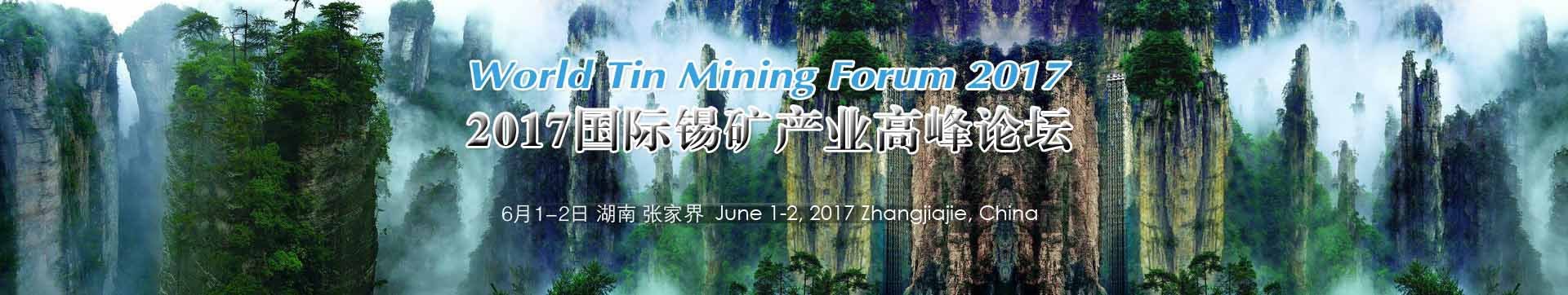 2017国际锡矿产业高峰论坛