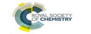 皇家化学会国际环境法医学联盟