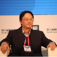 中国人民银行金融研究所副所长纪敏照片