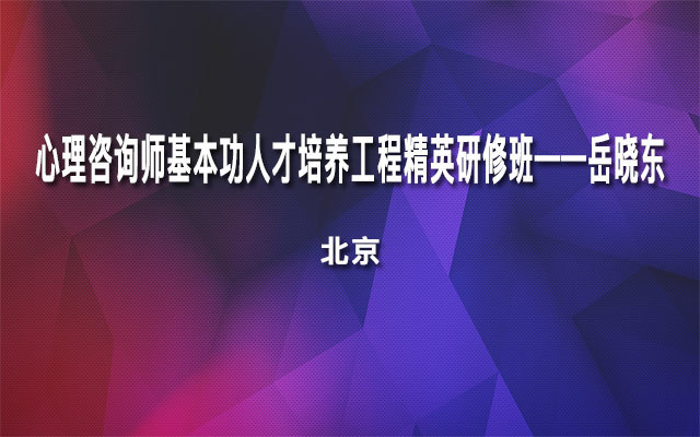 心理咨询师基本功人才培养工程精英研修班——岳晓东