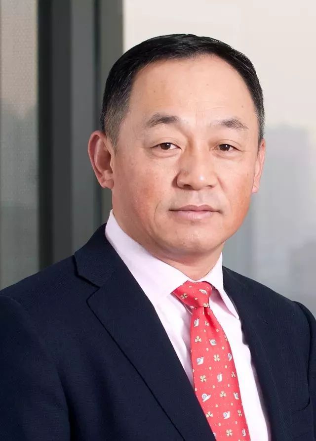 中国万向控股有限公司副董事长兼执行董事肖风
