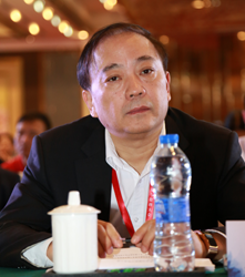 中国煤炭地质总局       副局长王海宁