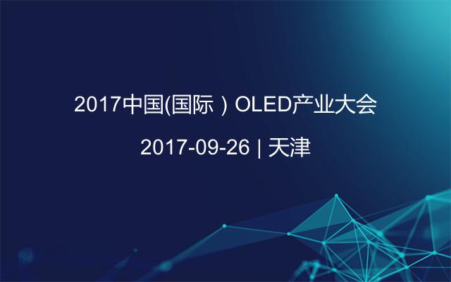 2017中国（国际）OLED产业大会