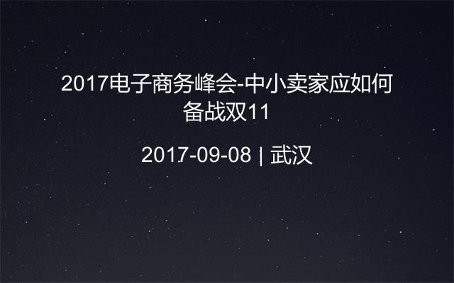 2017电子商务峰会-中小卖家应如何备战双11