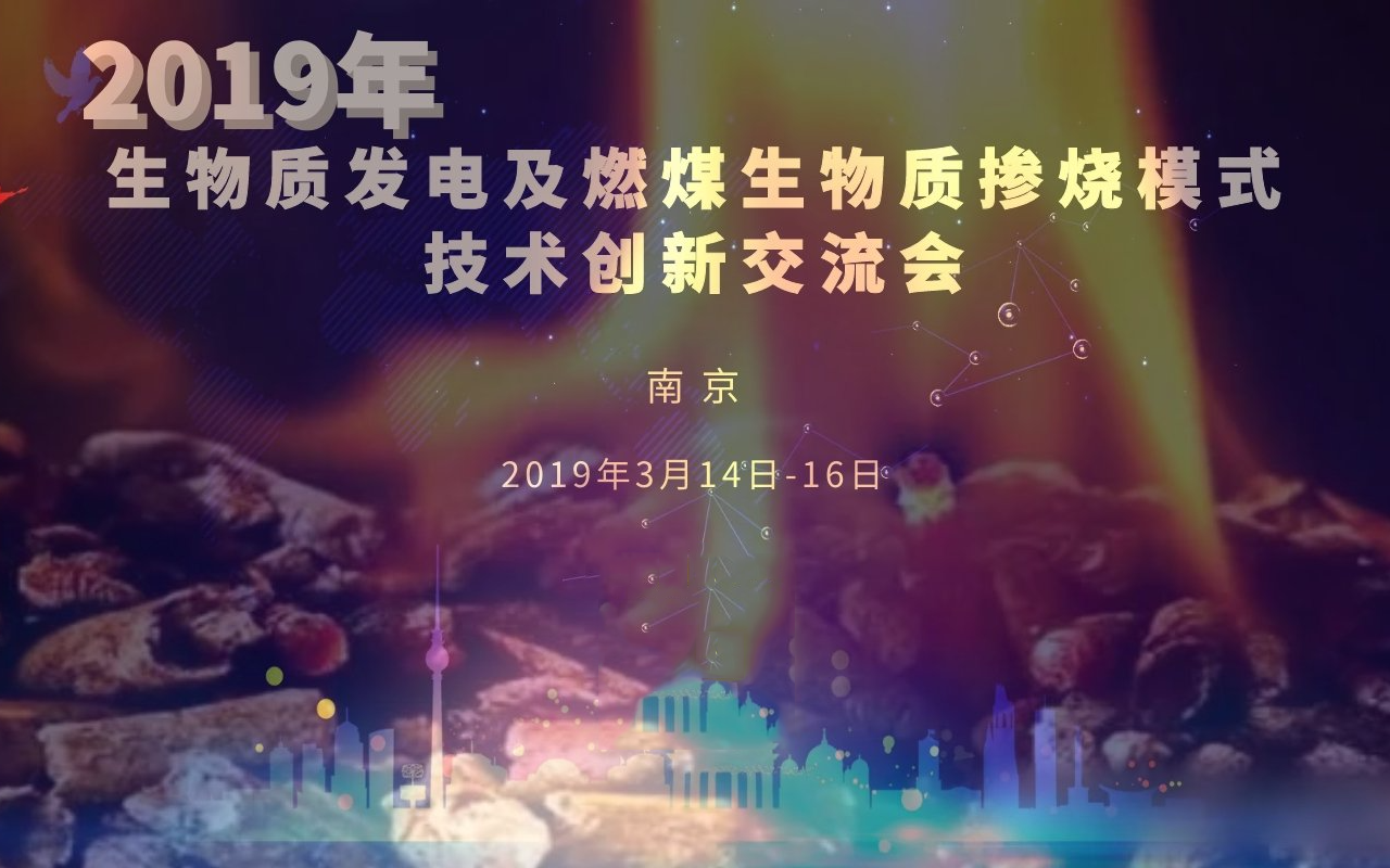 2019生物质发电及燃煤生物质掺烧模式技术创新交流会（南京）