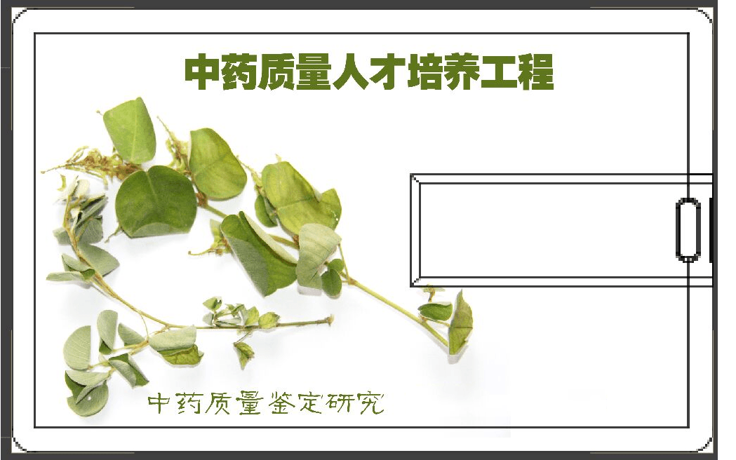 第十七届全国中药材饮片质量控制暨野外药用植物辨识培训大会2019（衡阳）