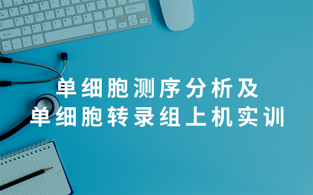 2019单细胞测序分析及单细胞转录组上机实训（8月青岛班）