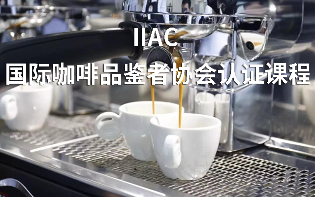  2019 IIAC 国际咖啡品鉴者协会认证课程