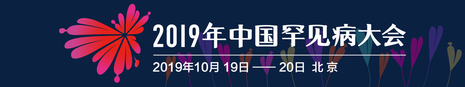 2019第一届中国罕见病大会(北京)