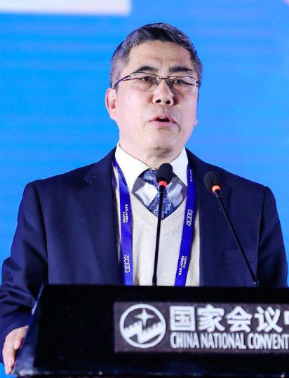 中国软件行业协会常务副秘书长陈宝国照片