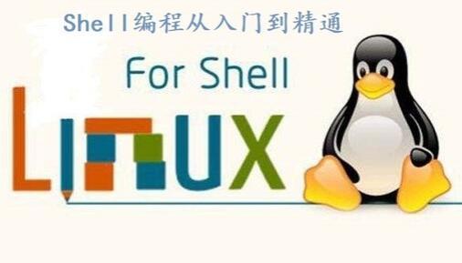 Linux编程Shell从入门到精通视频教程（完整版）（点播课）