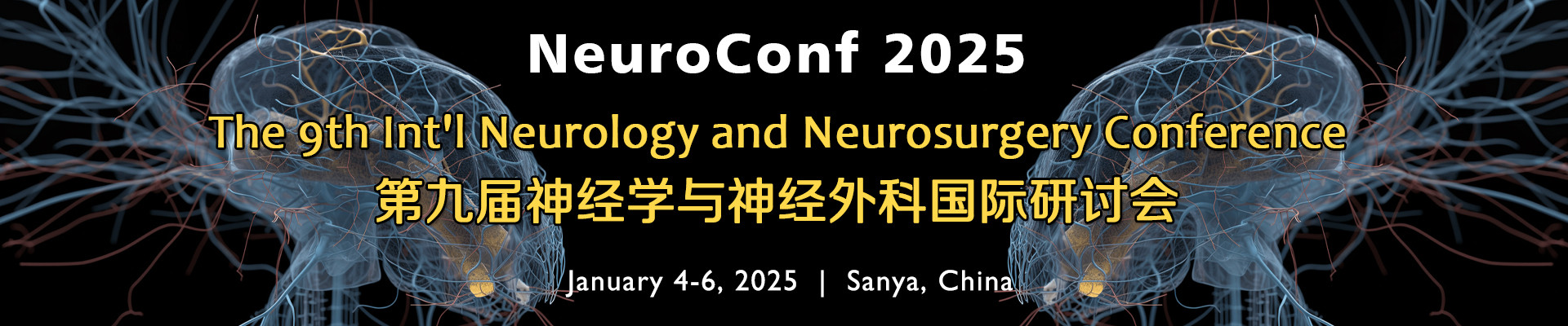 第九届神经学与神经外科国际研讨会(NeuroConf 2025)