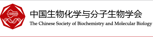 中国生物化学与分子生物学会教学专业委员会