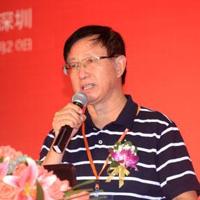 上海市物联网行业协会秘书长叶晓华照片