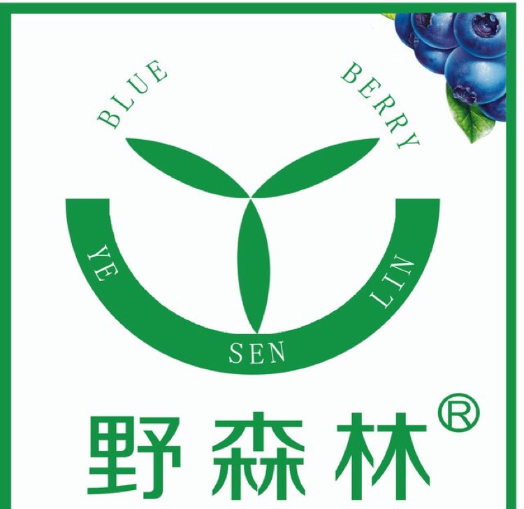 绍兴野森林蓝莓饮料有限公司创始人赵建龙照片