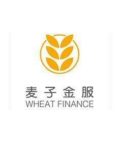 金融事业部总经理麦子金服教育刘红杰