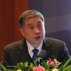 中国光伏行业协会秘书长王勃华