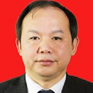 中建三局董事长、党委书记陈华元