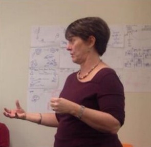 澳大利亚昆士兰大学教授Maxine Whittaker&nbsp;