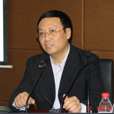 中国社科院财经战略研究院院长高培勇照片