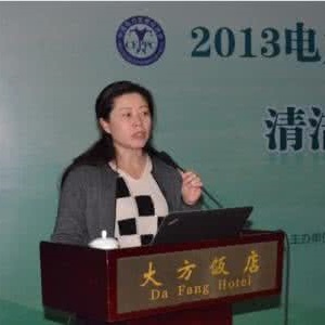 中国电力企业联合会研究室主任潘荔