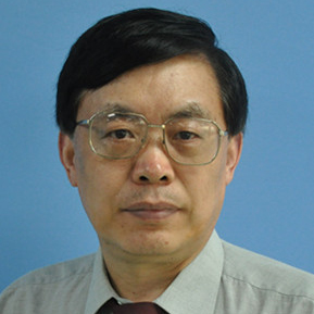 香港城市大学国际医学与生物工程院院士张元亭